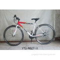 good quality and popular racing bicycle for sale